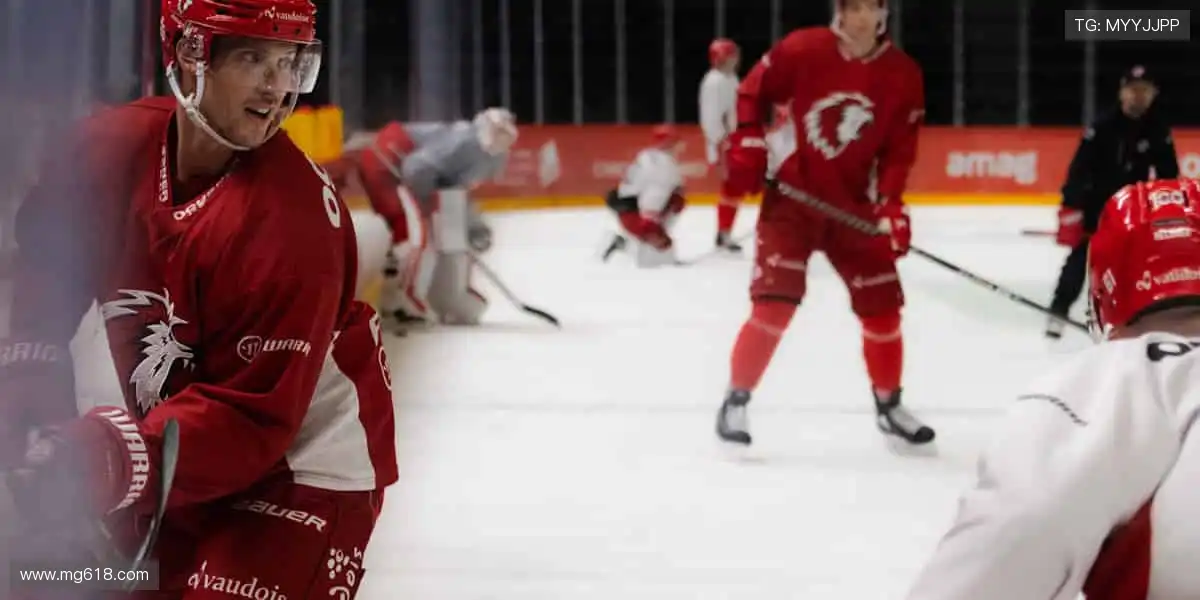 🏀激情赛场，见证冠军诞生时刻！